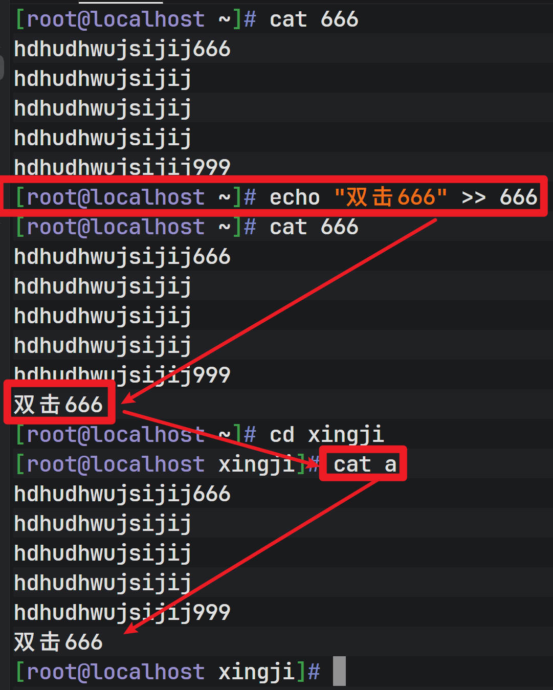 常见Linux命令