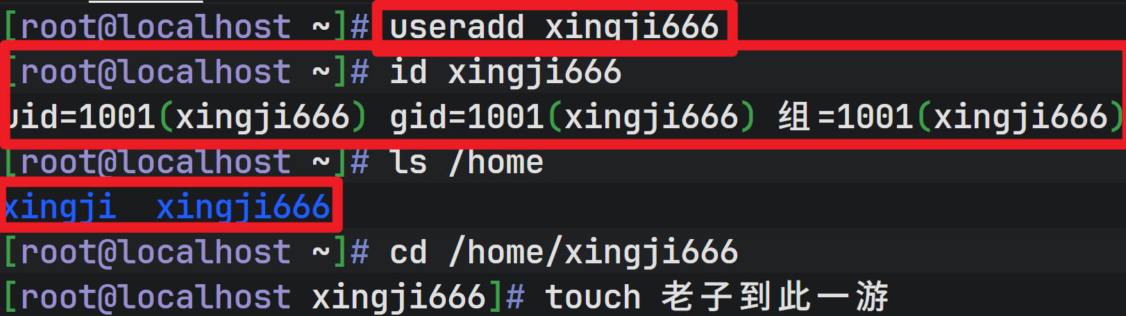 常见Linux命令