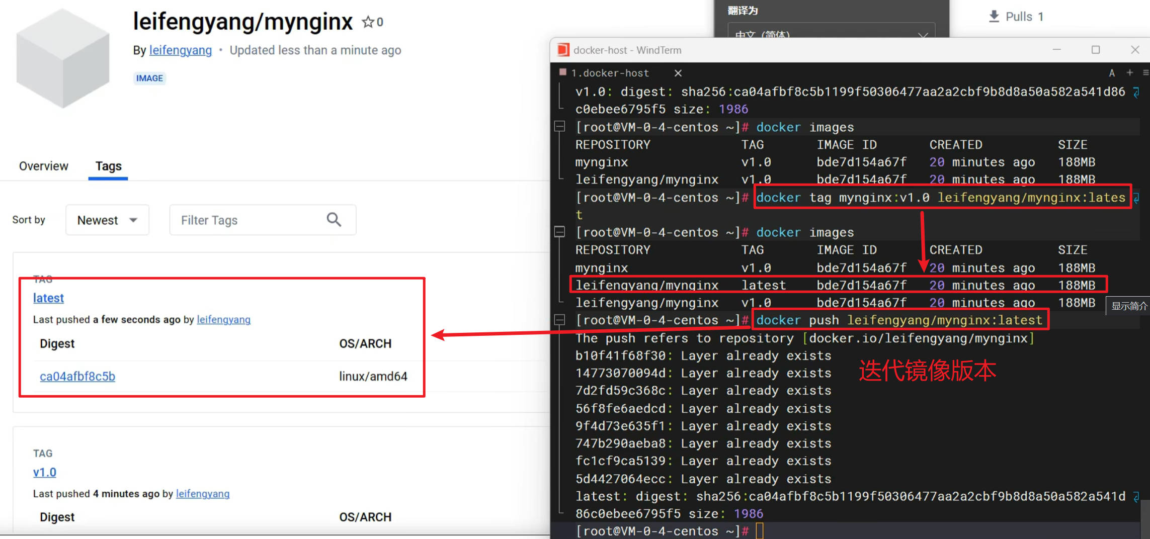 Docker快速通关