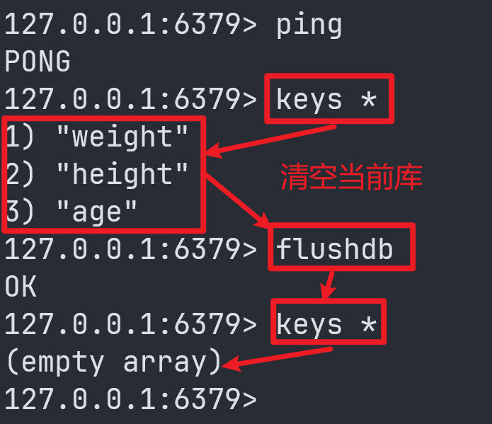 Redis常用数据类型和命令